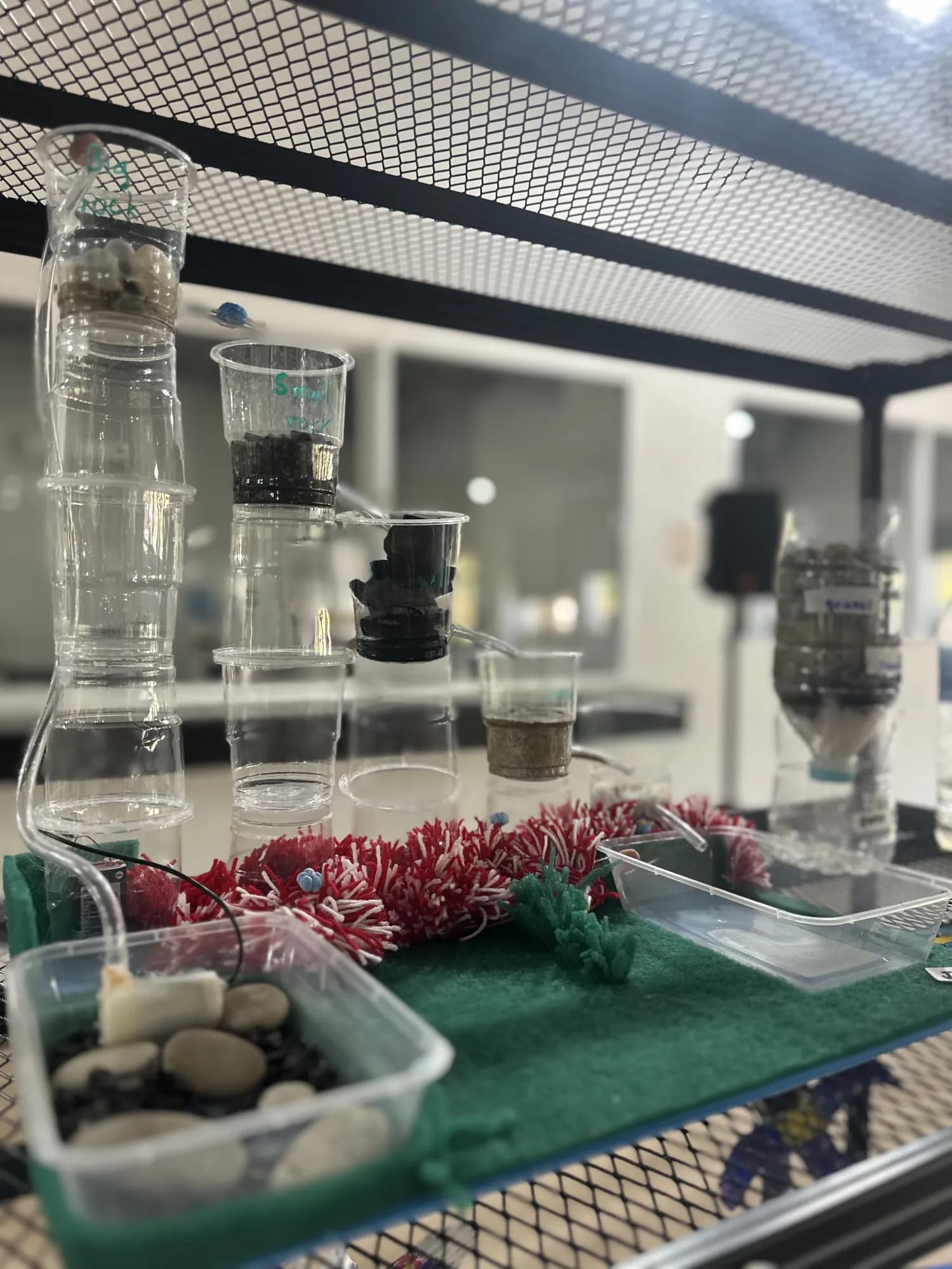 Hands-on science experiment