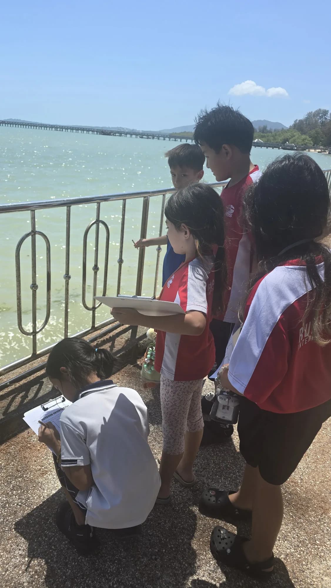 Students on a coastal field trip