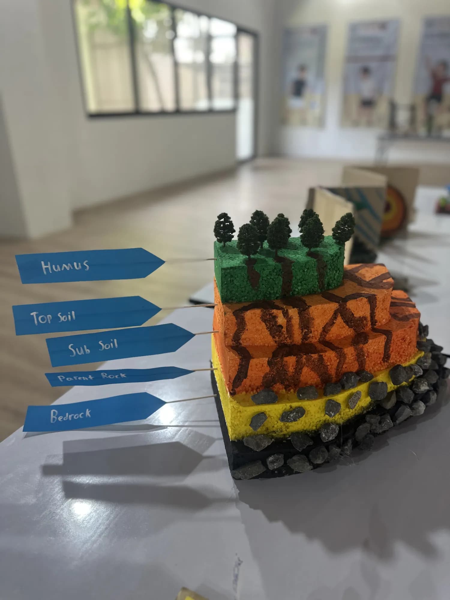 Student-built soil layers model