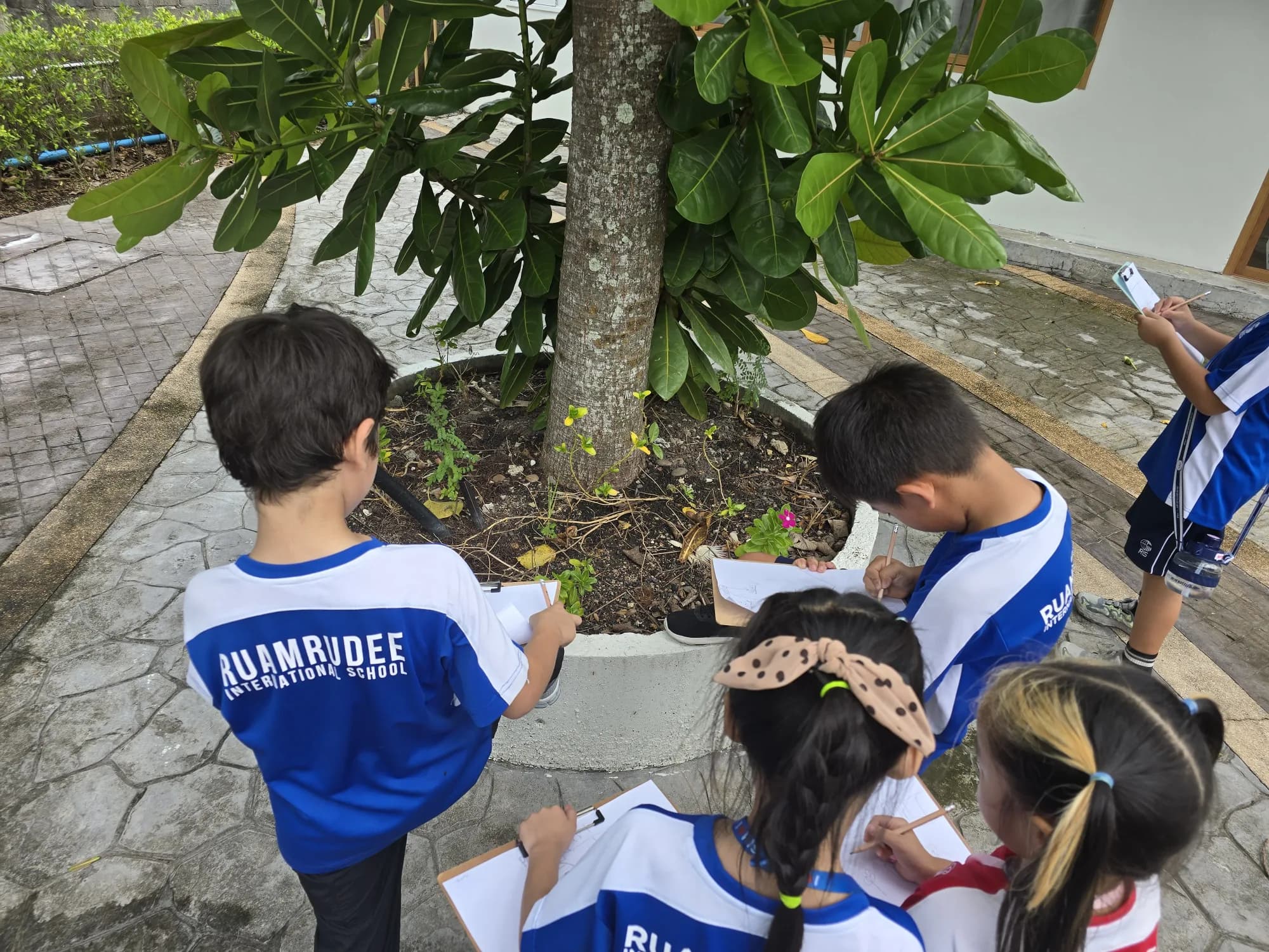 Outdoor field study